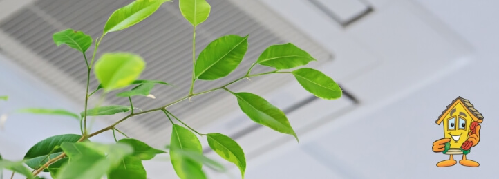 Indoor Air Quality Services in Fenton, MI